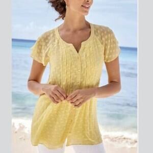 Soft Surroundings Top